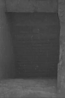 Tut-ankh Amen's Tomb (Daily Sketch Topical Budget 600-1)