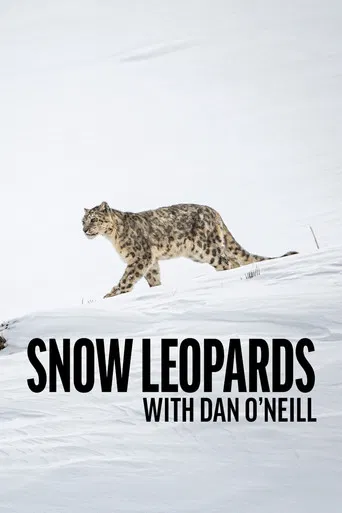 Snow Leopards with Dan O'Neill