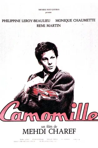Camomille