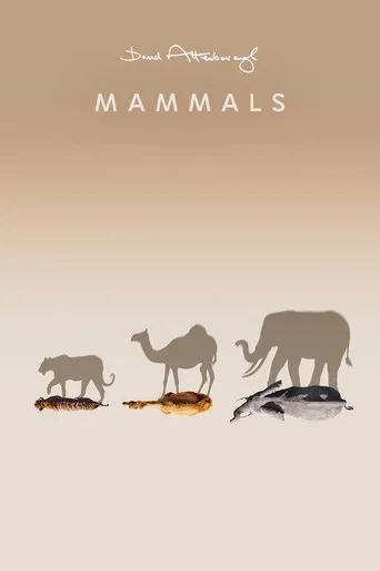 Watch Mammals