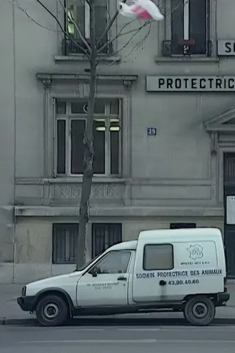 We Are All Cockroaches