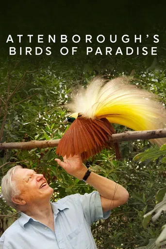 Watch Birds of Paradise