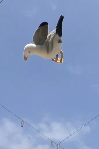 Double Jump
