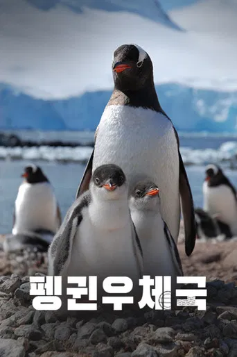 Watch Penguin Post Office