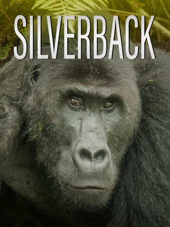 Watch Silverback