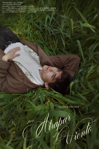 Para atrapar el viento