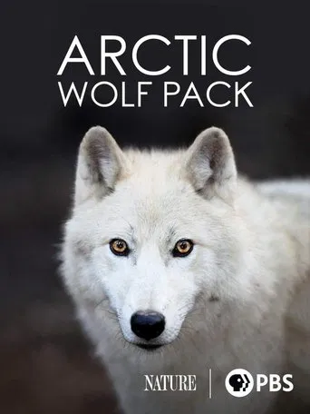 Watch Nature: Arctic Wolf Pack