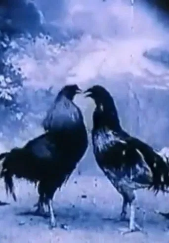 Watch Criminal Animals