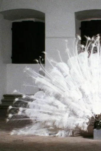 La Ferdinanda. Sonate für eine Medici-Villa