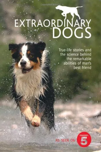 Perros Extraordinarios