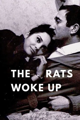 The Rats Woke Up