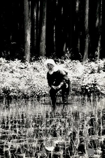 The Japanese Part 3: Farm Song