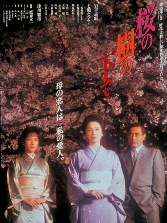 Cherry Blossoms