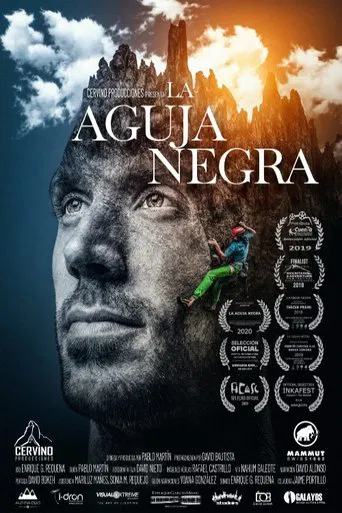 La Aguja Negra