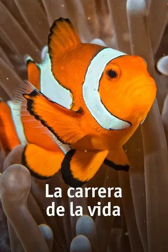 La Carrera por la Vida