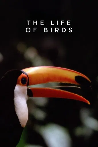 La Vida de las Aves