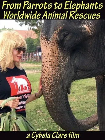 From Parrots to Elephants: Worldwide Animal Rescues