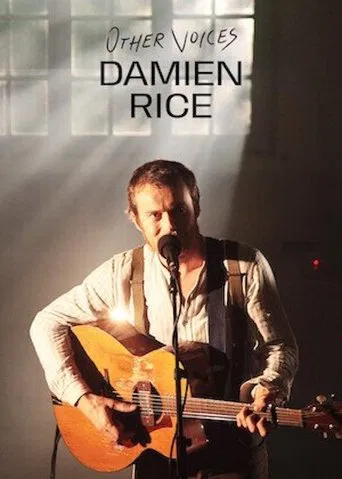 Other Voices: Damien Rice