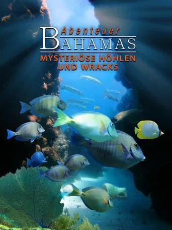 Abenteuer Bahamas 3D - Mysteriöse Höhlen und Wracks