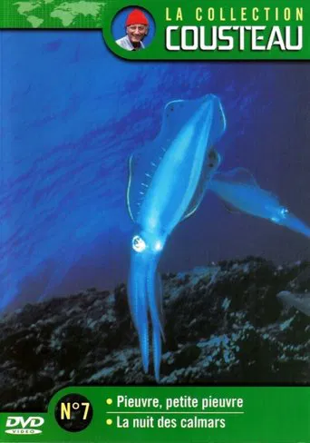 La collection Cousteau N°7 | Pieuvre, petite pieuvre | La nuit des calmars