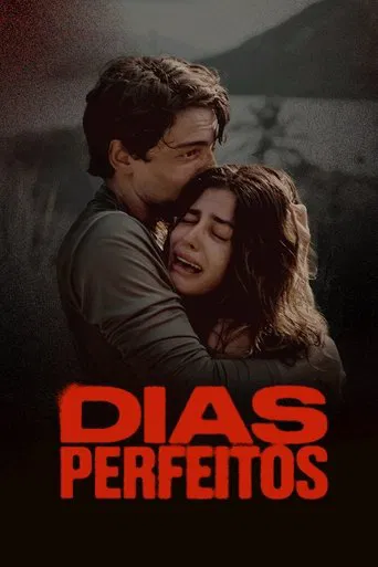 Perfect Days