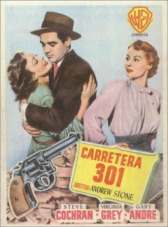 Carretera 301