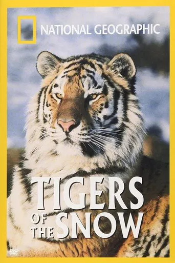 Tigres de Siberia