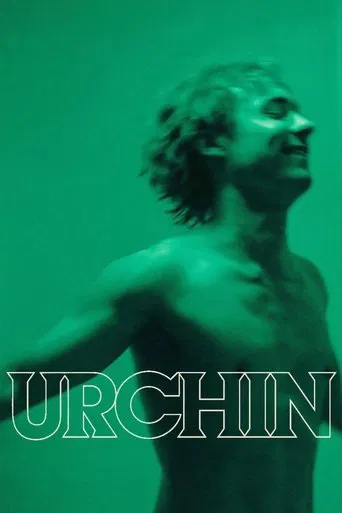 Urchin