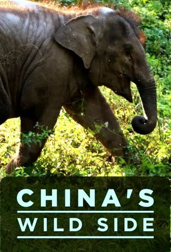 El lado salvaje de China