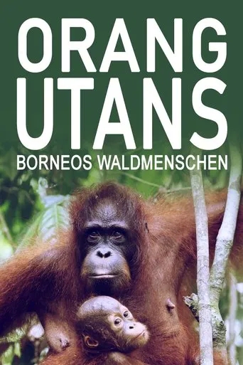 Orang Utans - Keepers of the Jungle