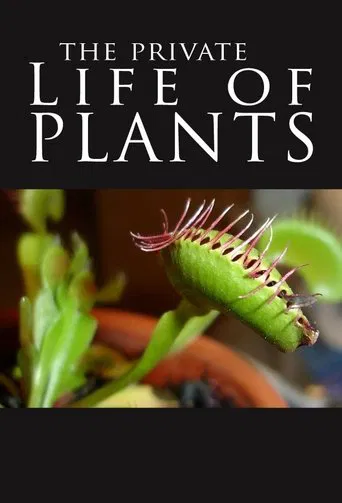 La vida privada de las plantas