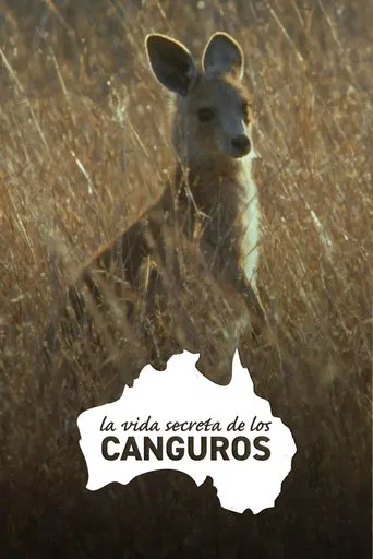 La Vida Secreta de los Canguros