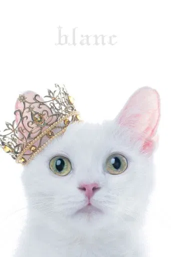 Aimer: Best Selection 