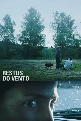 Restos do vento