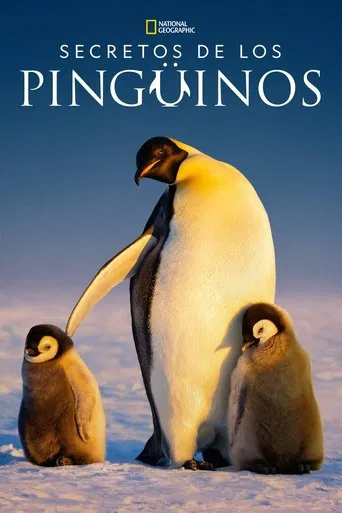Los secretos de los pingüinos