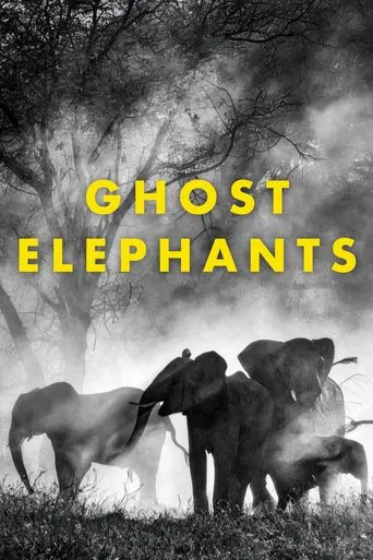Ghost Elephants