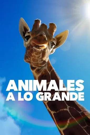 Animales a lo grande