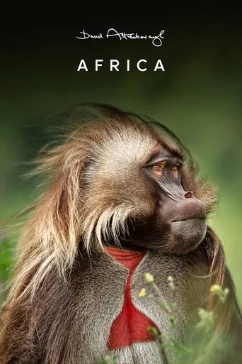 África