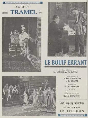 Le Bouif errant