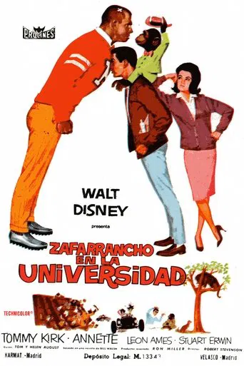 Zafarrancho en la universidad