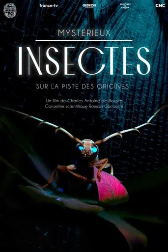 Mysterious Origins of Insects