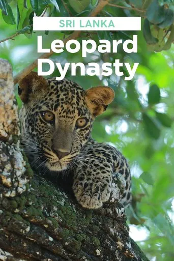 El Leopardo de Sri Lanka