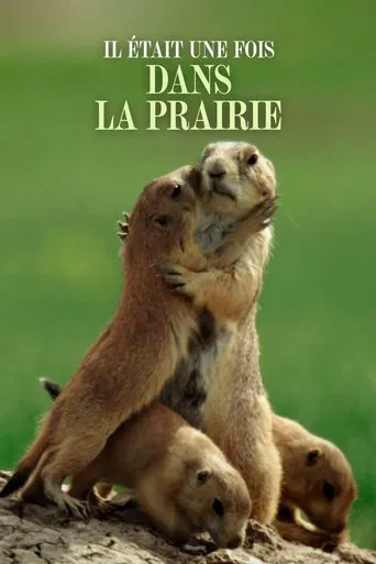 A Prairie Dog's Life