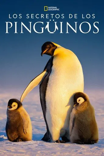 Los secretos de los pingüinos