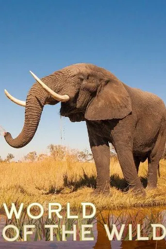 World of The Wild