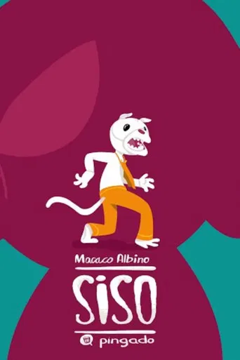 Macaco Albino: Siso