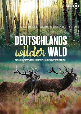 La vida secreta del ciervo rojo