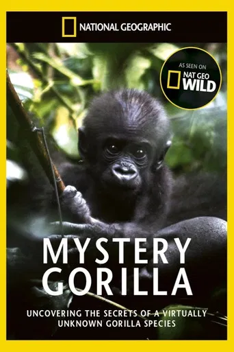 Gorila misterioso