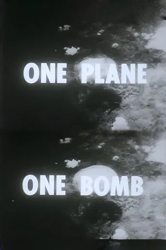 One Plane, One Bomb