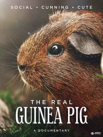 Schlaue Meerschweinchen